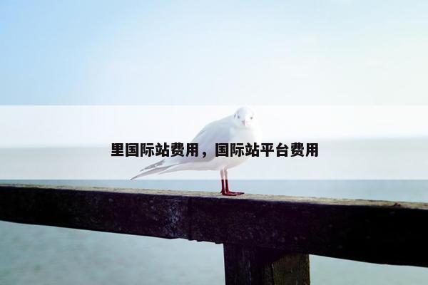 里国际站费用，国际站平台费用