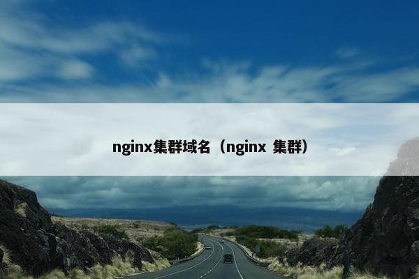 nginx集群域名（nginx 集群）