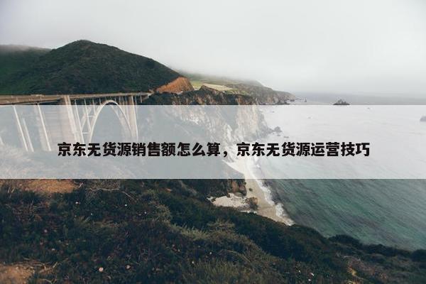 京东无货源销售额怎么算，京东无货源运营技巧