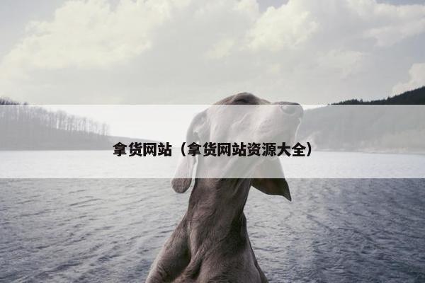 拿货网站（拿货网站资源大全）