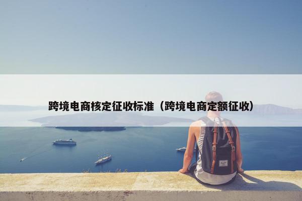 跨境电商核定征收标准（跨境电商定额征收）