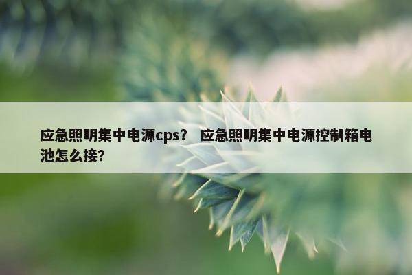 应急照明集中电源cps？ 应急照明集中电源控制箱电池怎么接？