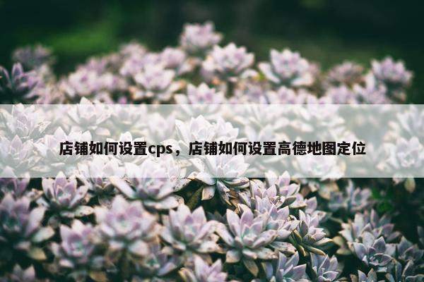 店铺如何设置cps，店铺如何设置高德地图定位