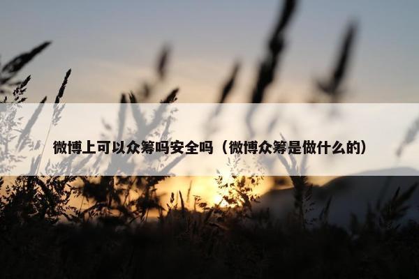 微博上可以众筹吗安全吗（微博众筹是做什么的）