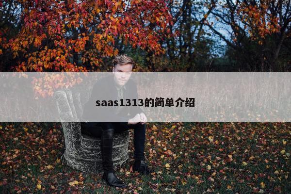 saas1313的简单介绍