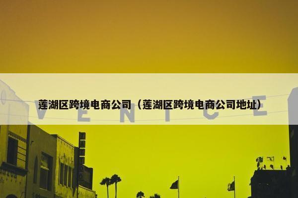 莲湖区跨境电商公司（莲湖区跨境电商公司地址）