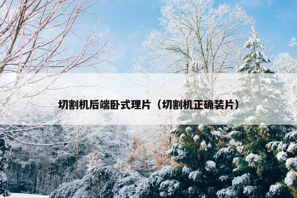 切割机后端卧式理片（切割机正确装片）