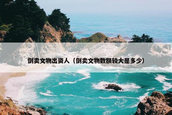 倒卖文物出资人（倒卖文物数额较大是多少）