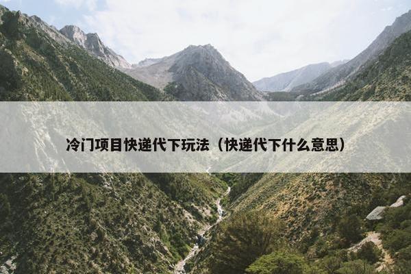 冷门项目快递代下玩法（快递代下什么意思）