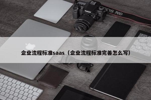 企业流程标准saas（企业流程标准完善怎么写）