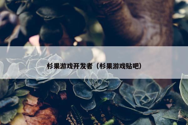 杉果游戏开发者（杉果游戏贴吧）