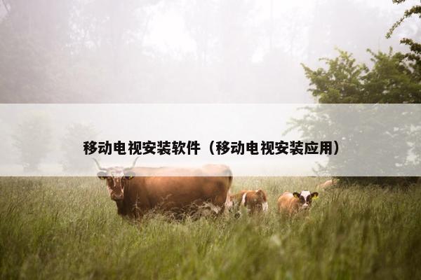 移动电视安装软件（移动电视安装应用）