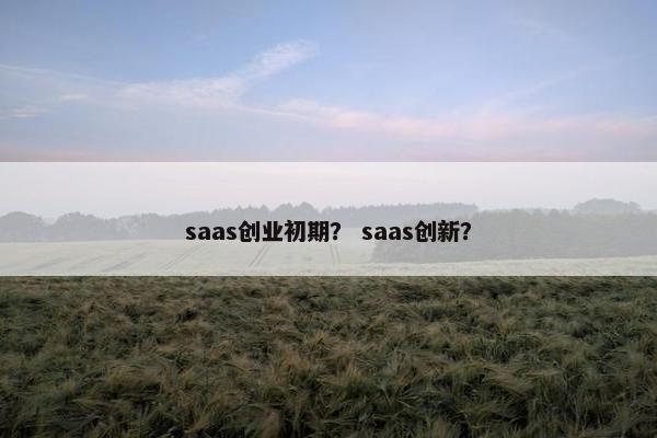 saas创业初期？ saas创新？
