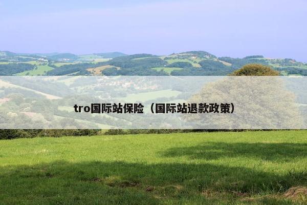 tro国际站保险（国际站退款政策）
