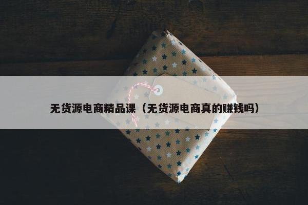 无货源电商精品课（无货源电商真的赚钱吗）