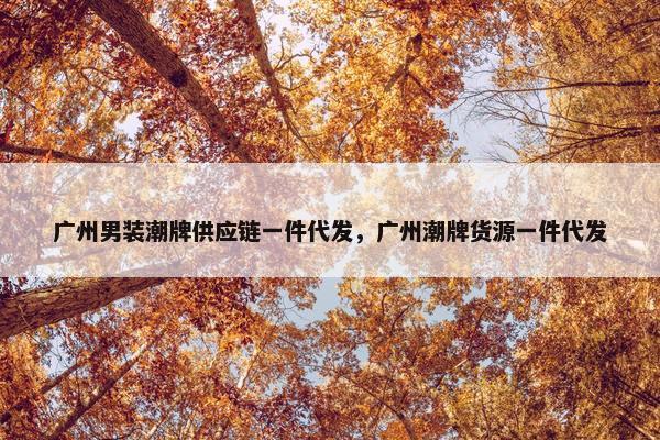 广州男装潮牌供应链一件代发，广州潮牌货源一件代发