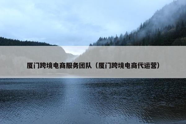 厦门跨境电商服务团队（厦门跨境电商代运营）