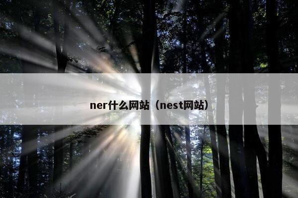 ner什么网站（nest网站）