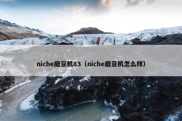 niche磨豆机83（niche磨豆机怎么样）