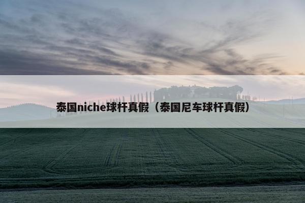 泰国niche球杆真假（泰国尼车球杆真假）