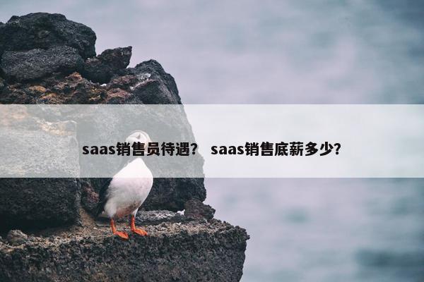 saas销售员待遇？ saas销售底薪多少？