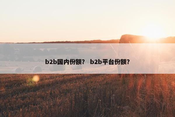 b2b国内份额？ b2b平台份额？