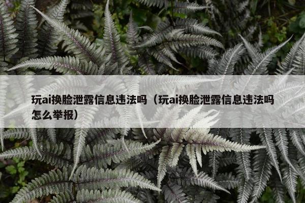 玩ai换脸泄露信息违法吗（玩ai换脸泄露信息违法吗怎么举报）