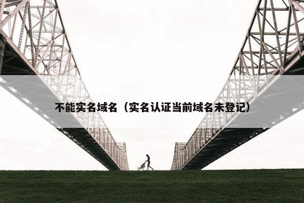 不能实名域名（实名认证当前域名未登记）