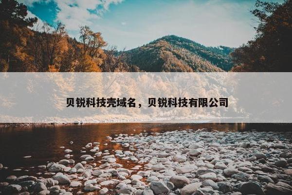 贝锐科技壳域名，贝锐科技有限公司