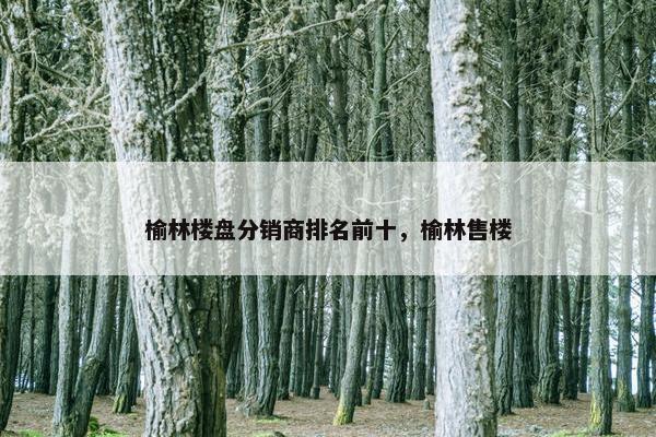 榆林楼盘分销商排名前十，榆林售楼