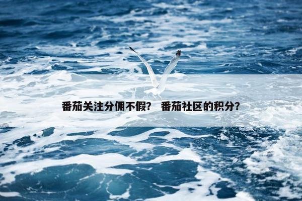 番茄关注分佣不假？ 番茄社区的积分？