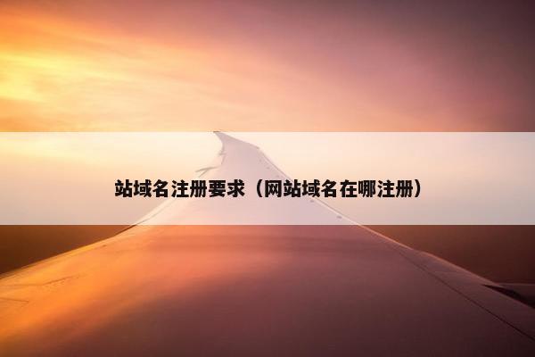 站域名注册要求（网站域名在哪注册）