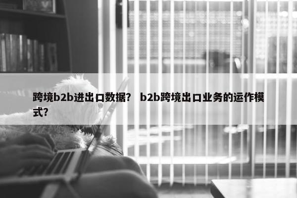 跨境b2b进出口数据？ b2b跨境出口业务的运作模式？