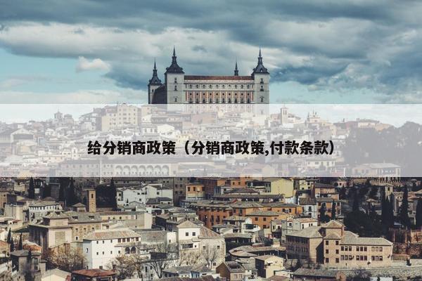 给分销商政策（分销商政策,付款条款）