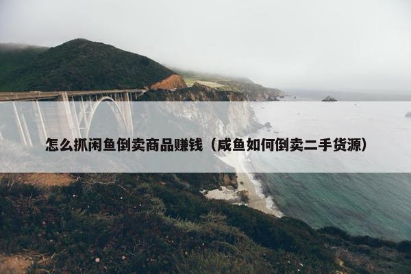 怎么抓闲鱼倒卖商品赚钱（咸鱼如何倒卖二手货源）