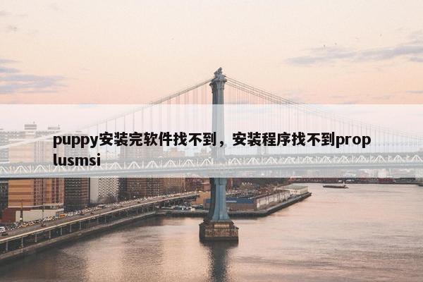 puppy安装完软件找不到，安装程序找不到proplusmsi