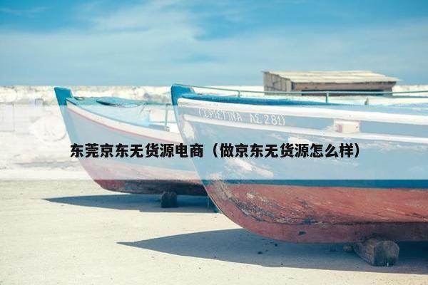 东莞京东无货源电商（做京东无货源怎么样）