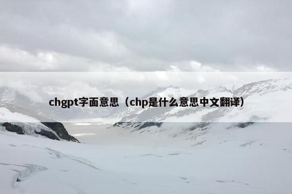 chgpt字面意思（chp是什么意思中文翻译）