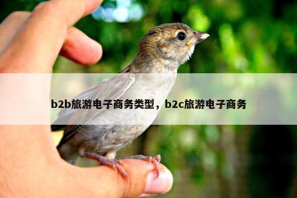 b2b旅游电子商务类型，b2c旅游电子商务