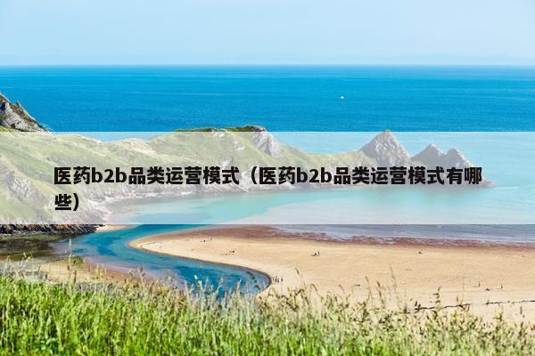 医药b2b品类运营模式（医药b2b品类运营模式有哪些）
