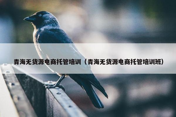 青海无货源电商托管培训（青海无货源电商托管培训班）
