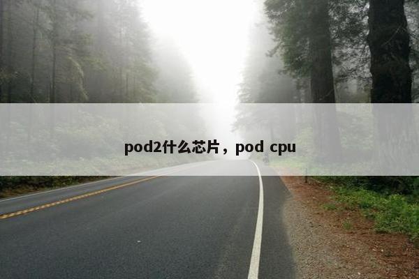 pod2什么芯片，pod cpu