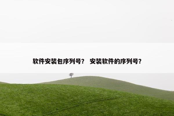 软件安装包序列号？ 安装软件的序列号？