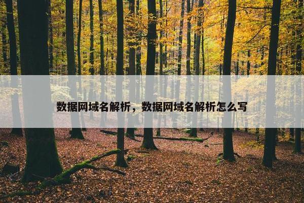 数据网域名解析，数据网域名解析怎么写