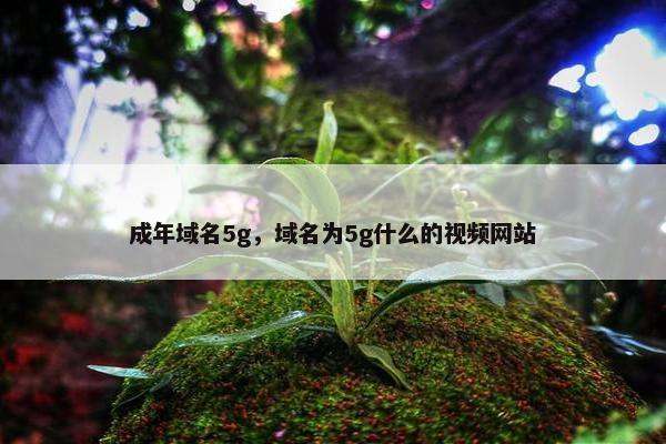 成年域名5g，域名为5g什么的视频网站