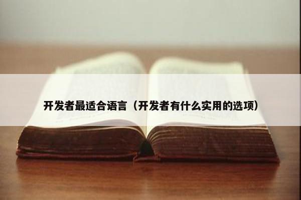 开发者最适合语言（开发者有什么实用的选项）
