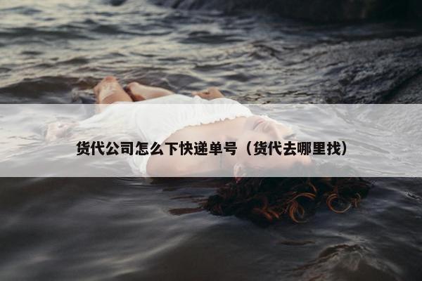 货代公司怎么下快递单号（货代去哪里找）