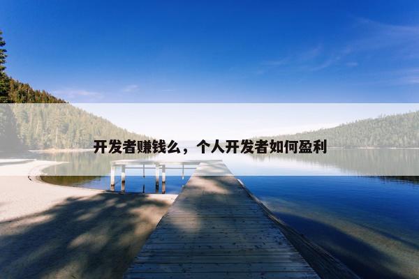 开发者赚钱么，个人开发者如何盈利