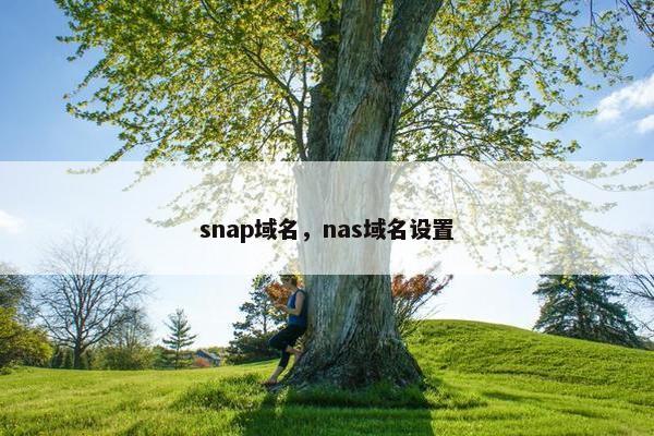 snap域名，nas域名设置