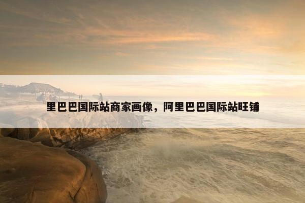 里巴巴国际站商家画像，阿里巴巴国际站旺铺